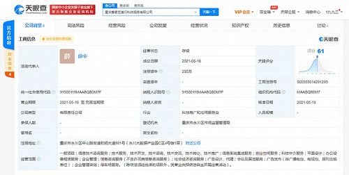 愛奇藝在重慶成立科技公司，拓展創(chuàng)業(yè)空間與信息系統(tǒng)集成服務